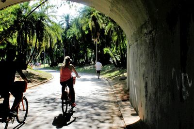 Rear view of man riding bicycle on road