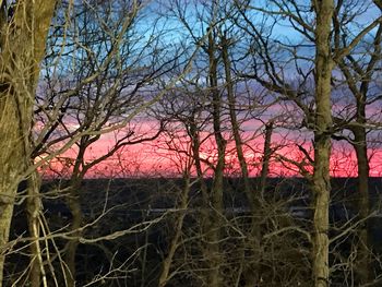 Bare trees on field against sky