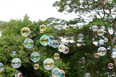 Close-up of bubbles against blurred background