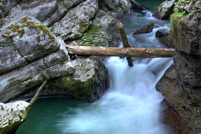 Scenic view of waterfall in forest