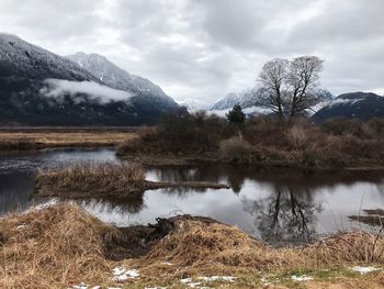 Reflection of trees in lake against sky