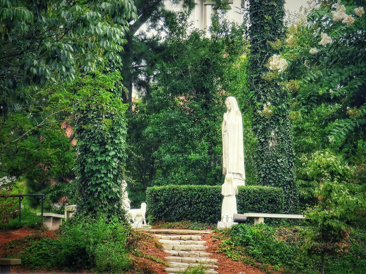 VIEW OF SCULPTURE IN FOREST