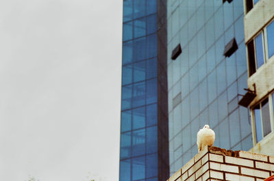 Low angle view of modern building