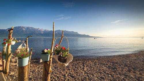 Scenic view of sea against sky