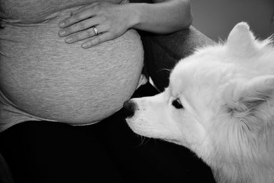 Close-up of dog with hand