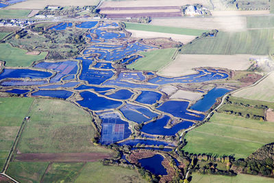 Scenic view of agricultural field