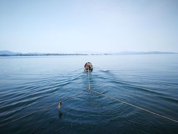 Person standing in sea against clear sky