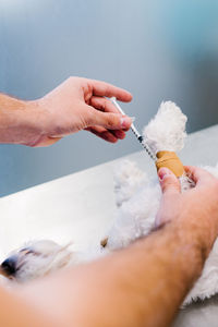 Unrecognizable male veterinarian injecting anesthetic with syringe for dog lying on metal table in operating theater in hospital