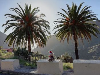 Woman standing by palm trees against sky