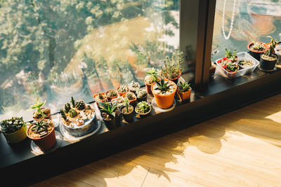 High angle view of food on window sill