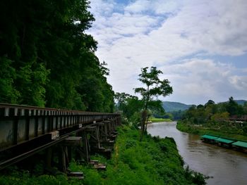 Bridge over trees against sky