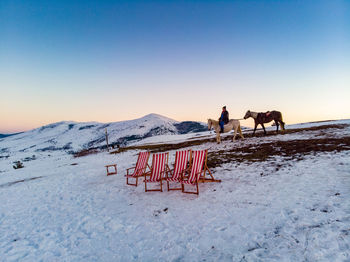 Horses on snow covered field against sky