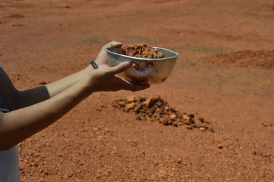 Close-up of hand holding bowl