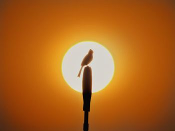 Low angle view of illuminated street light against orange sky