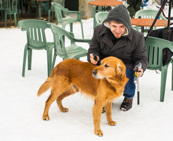 Portrait of dogs on snow