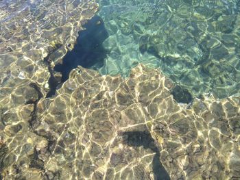 High angle view of swimming pool in sea
