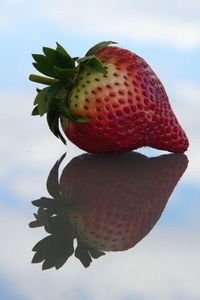 Close-up of strawberry growing on tree against sky