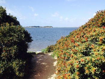 Scenic view of sea against sky