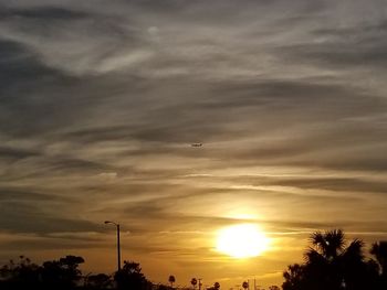 Silhouette birds flying against dramatic sky