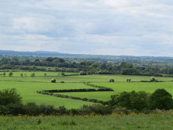 Scenic view of grassy field against sky