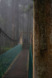 The way to misty froest