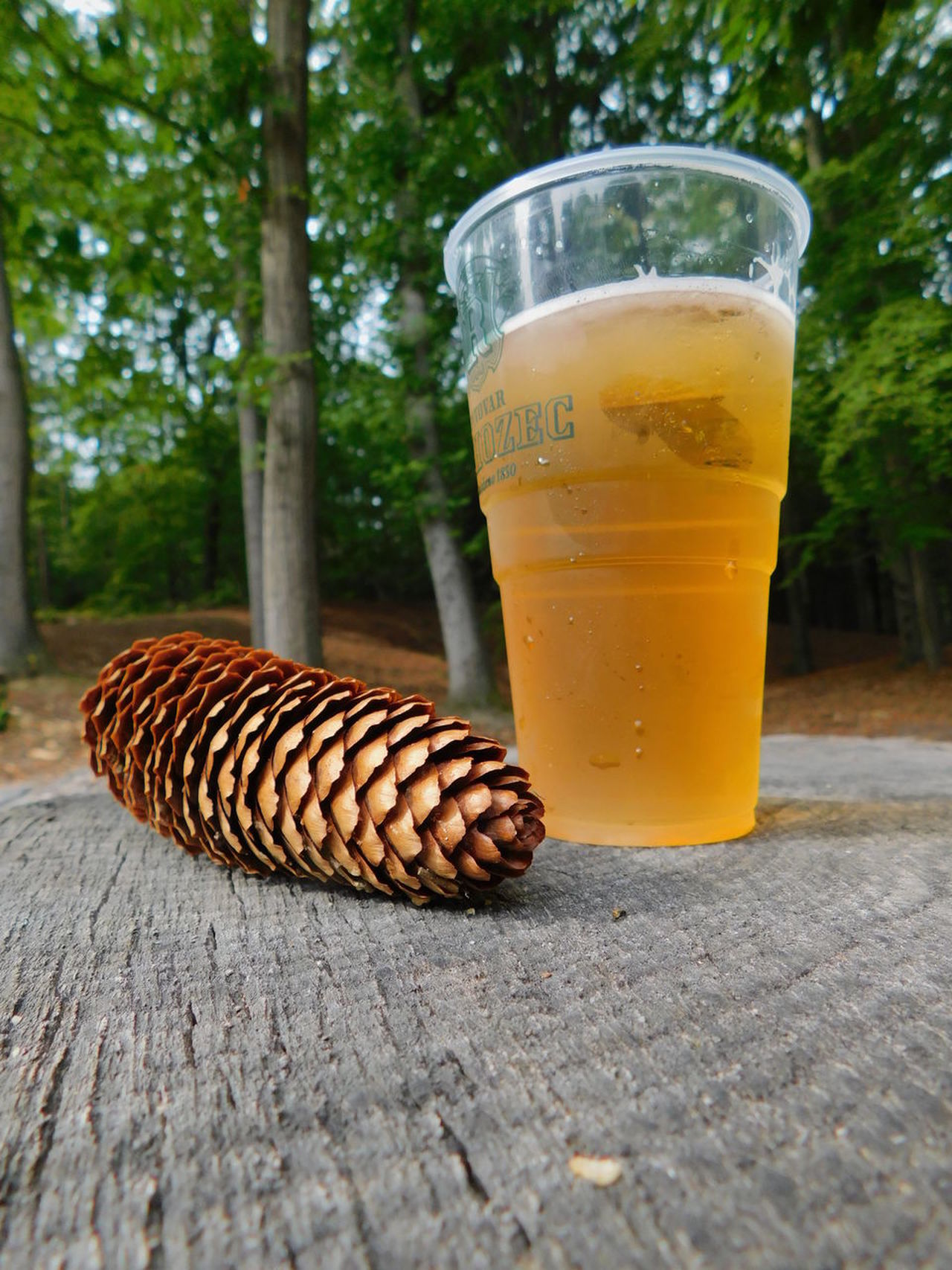 Beer in forest