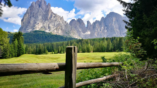 Fence against trees and mountains