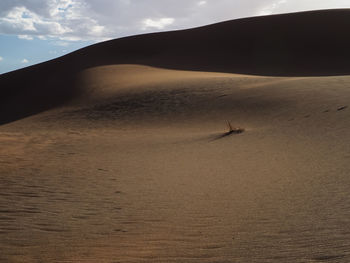 Scenic view of desert against sky