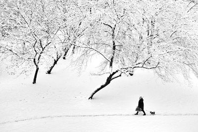 People walking on snow covered land