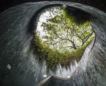 Scenic view of waterfall amidst trees