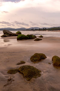 Scenic view of beach against sky during sunset