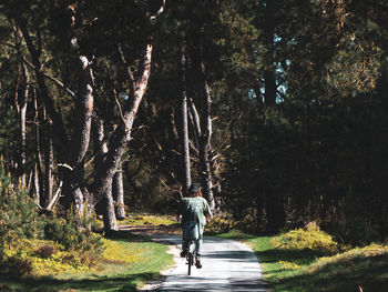 Rear view of man riding bicycle on forest