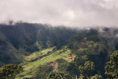 Scenic view of tree mountains against sky