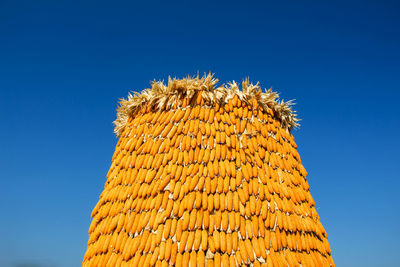 Low angle view of yellow flower against clear blue sky