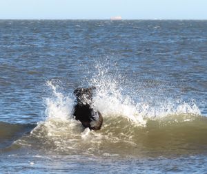 Man swimming in sea