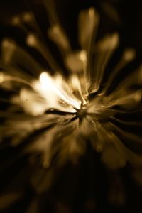 Close-up of water drops on glass