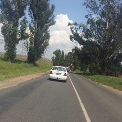 Road passing through forest