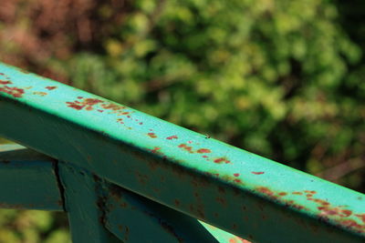 Close-up of rusty metal fence against blurred background