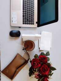 High angle view of roses on table