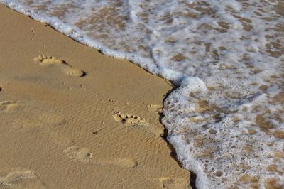High angle view of waves on beach