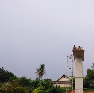 Low angle view of palm trees and building against sky