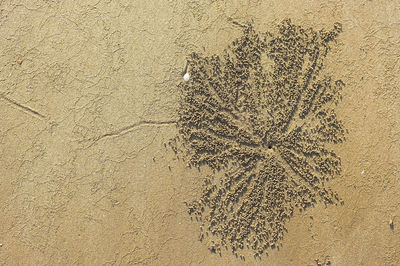 High angle view of sand on beach