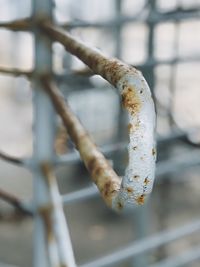 Close-up of rusty metal fence during winter