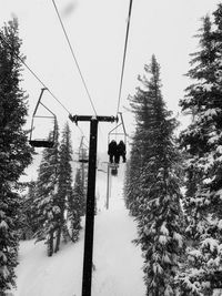 Rear view of people traveling on ski lift over snow covered field