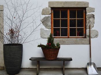 Potted plants on window of house