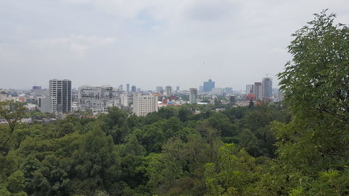 Trees and cityscape against sky