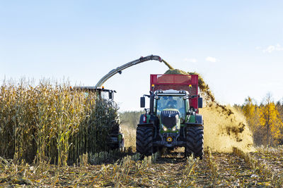 Harvester and tractor harvesting corn