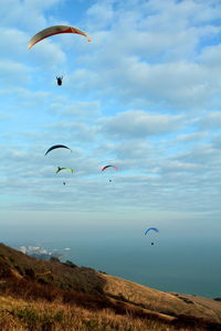 Low angle view of paragliding over sea against sky