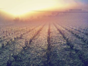 Scenic view of landscape at sunset