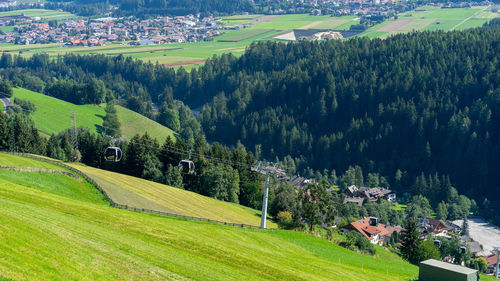 Scenic view of trees and buildings on field